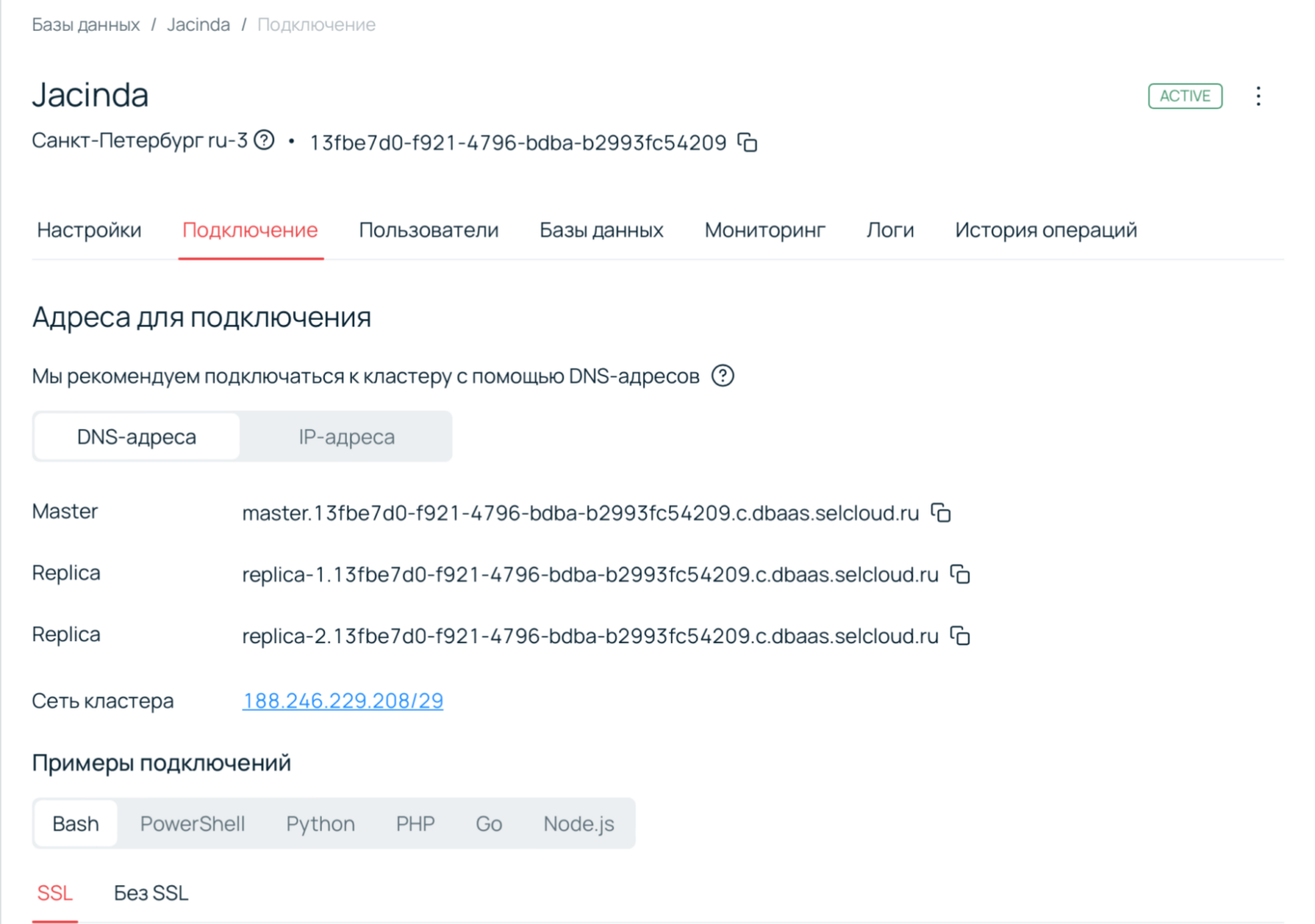 Вкладка «Подключение» с информацией об адресах для подключения.