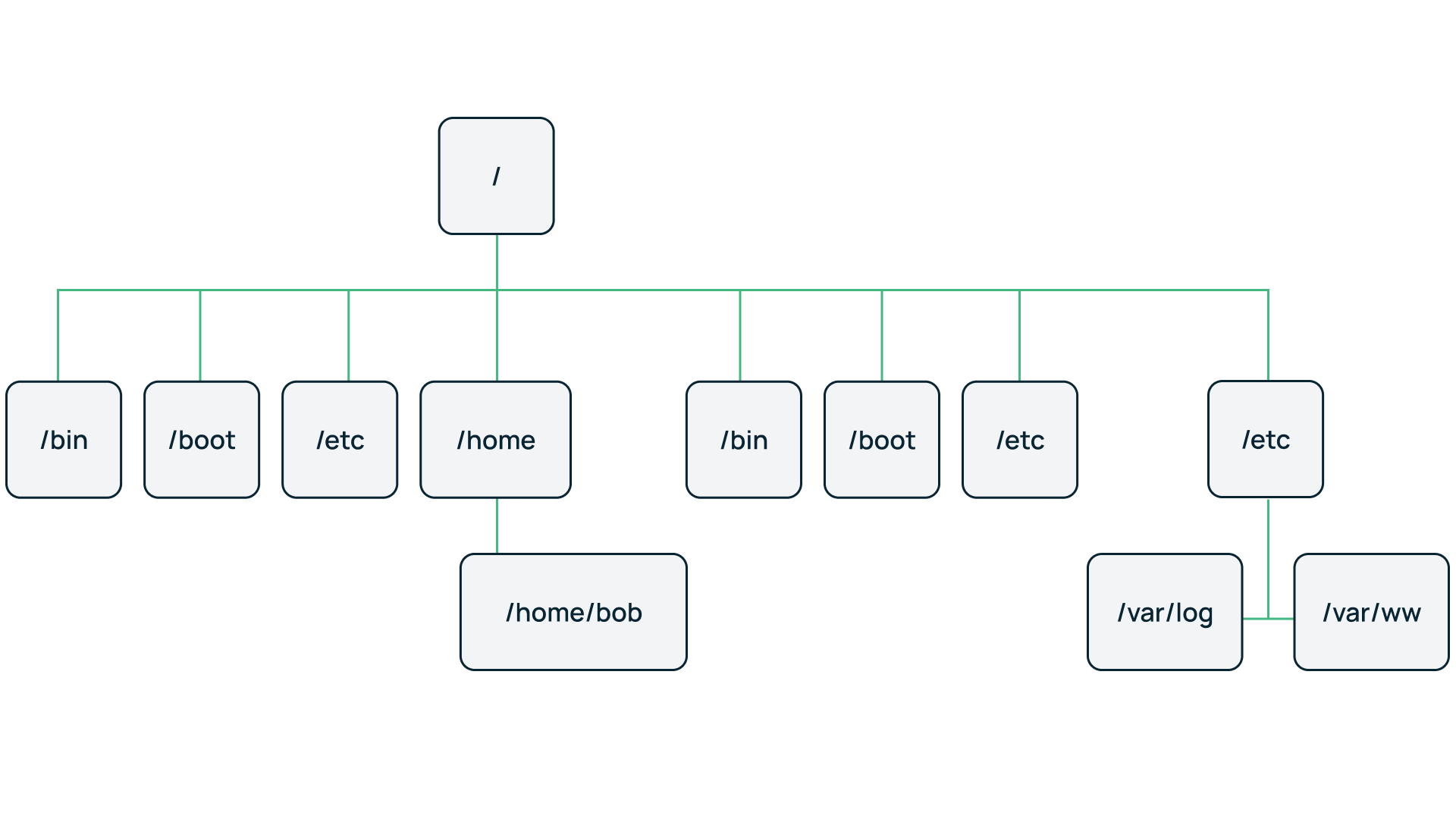 Виды баз данных. Полный обзор основных БД
