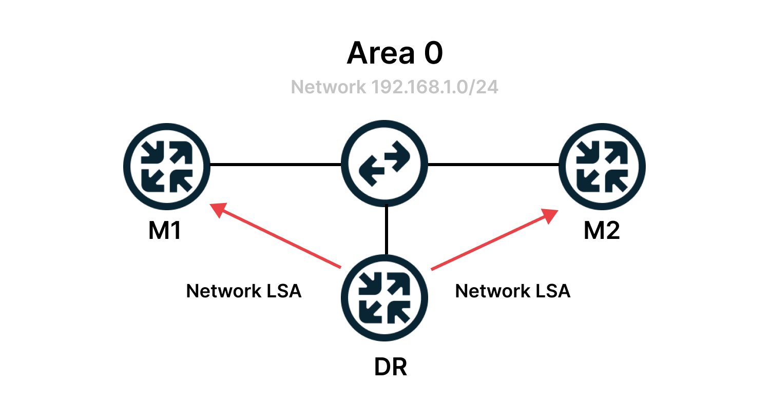 Network LSA