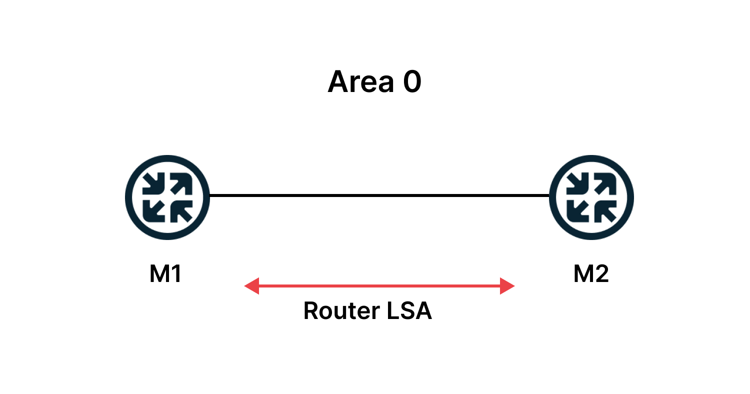 Router LSA