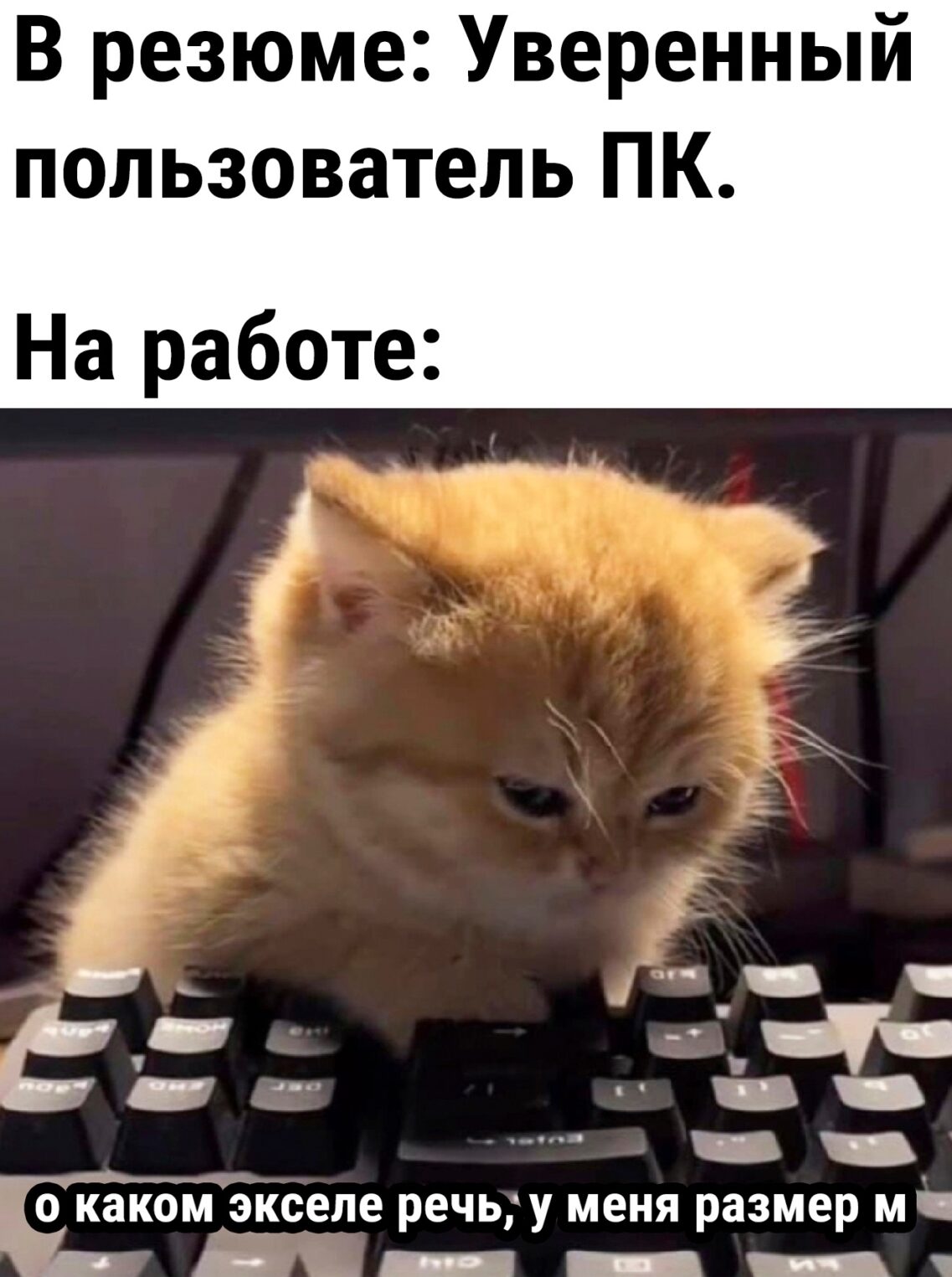 Как устроен наем в IT: обсудили с эйчарами и тимлидами