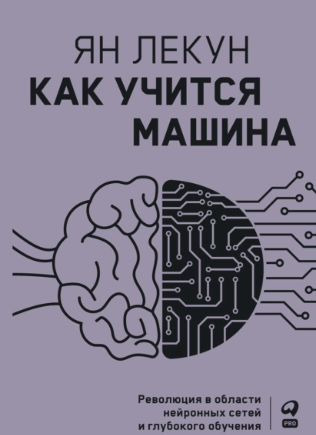 Книга «Как учится машина». Ян Лекун.