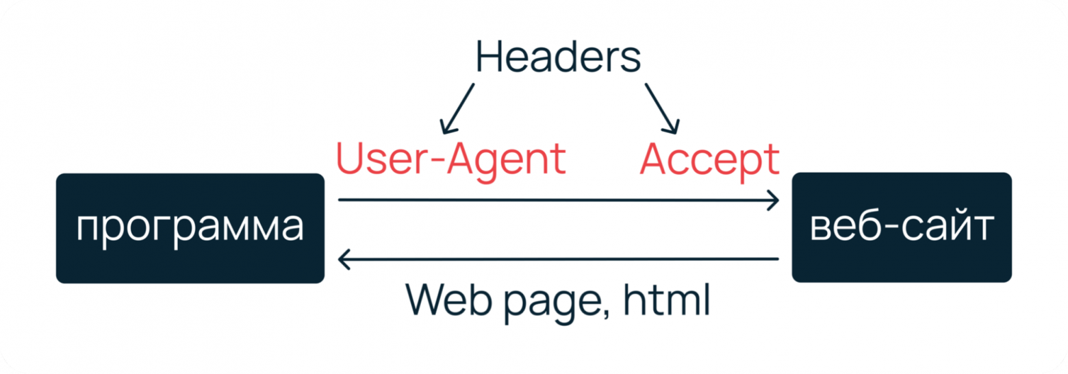 Схема взаимодействия с сервером: как обмениваются данными программа‑клиент и веб‑сайт