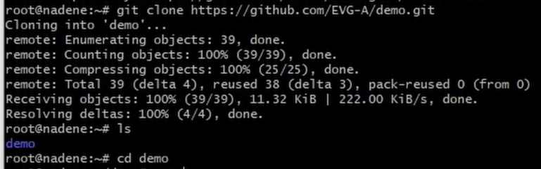 С помощью git clone клонируем проект на сервер.