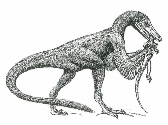 Реконструкция велоцираптора.