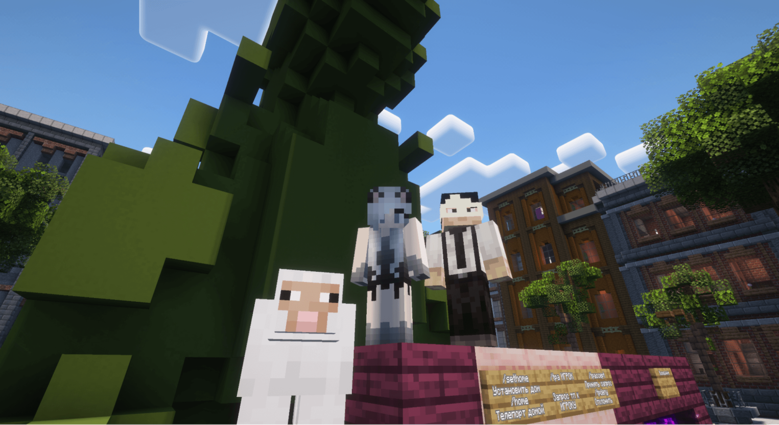 Овечка , фото на память.