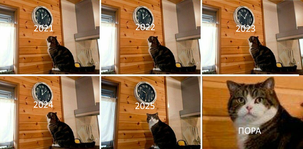 Мем картинка с кошкой.