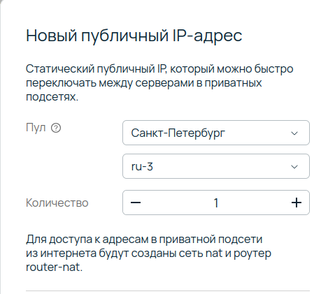 Скриншот интерфейса панели управления Selectel. Показано окно создания нового публичного IP-адреса в пуле «Санкт-Петербург».