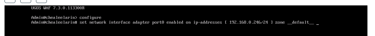 Скриншот терминала с командой для настройки сетевого интерфейса port0 в UserGate WAF с IP-адресом 192.168.0.246/24.
