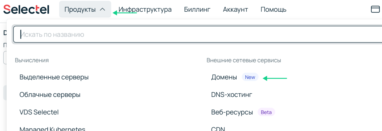 Скриншот панели управления Selectel. Выбор раздела «Домены».