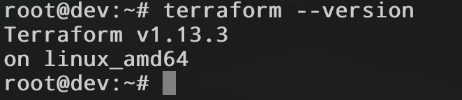 Проверяем установку в терминале — после ввода команды видим версию.