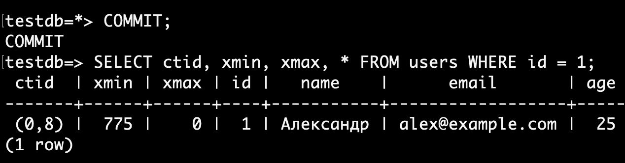 Снова терминал В.