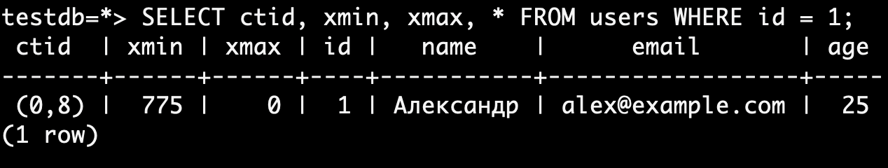 Вид терминала В.