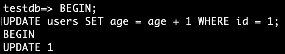 Вид терминала В.