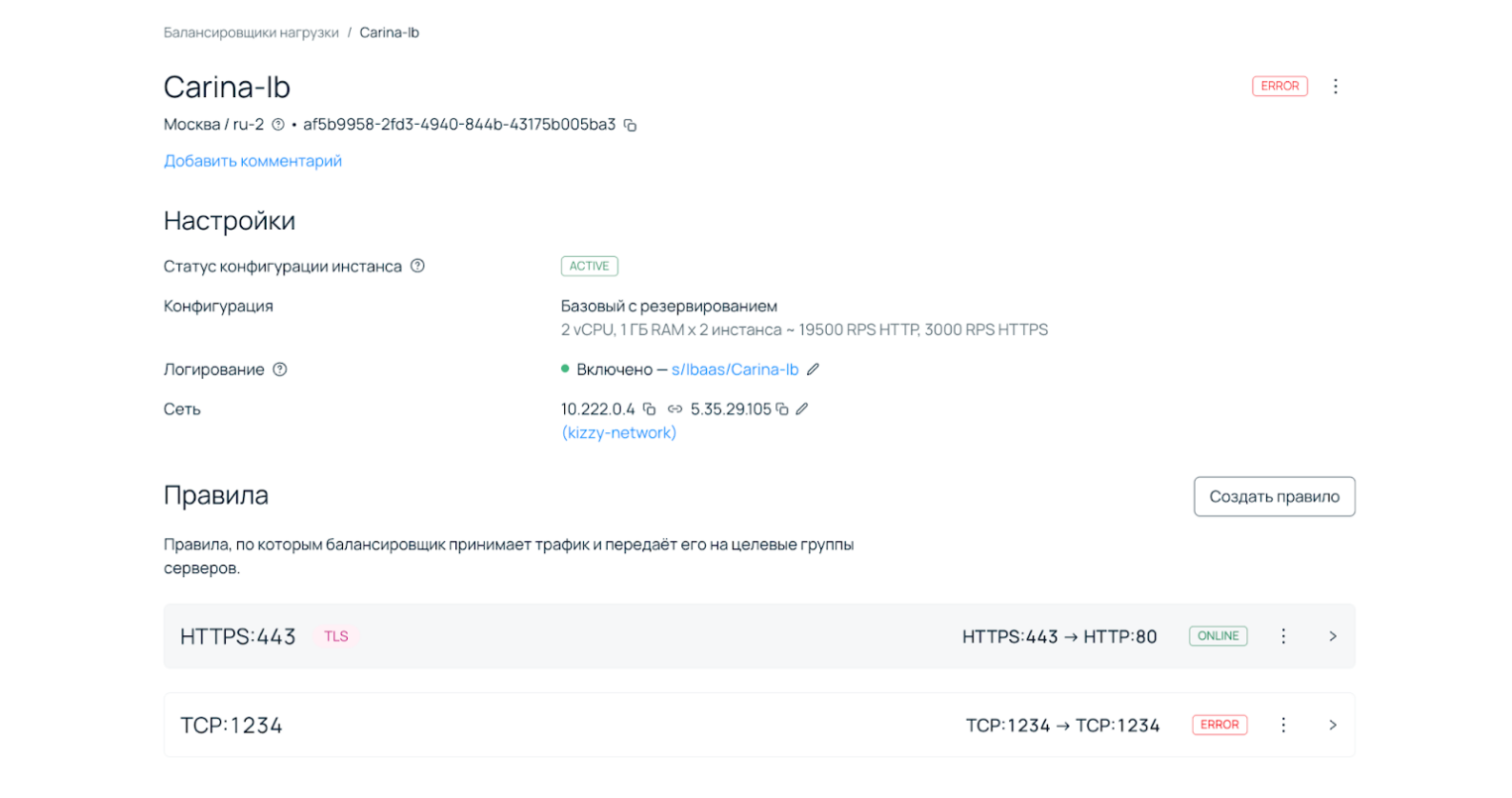 Общий статус подсвечен красным (ERROR) из-за проблем с правилом для порта TCP:1234, в то время как правило HTTPS:443 работает корректно.
