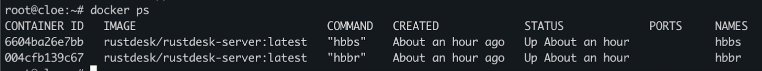 Проверка запущенных контейнеров.