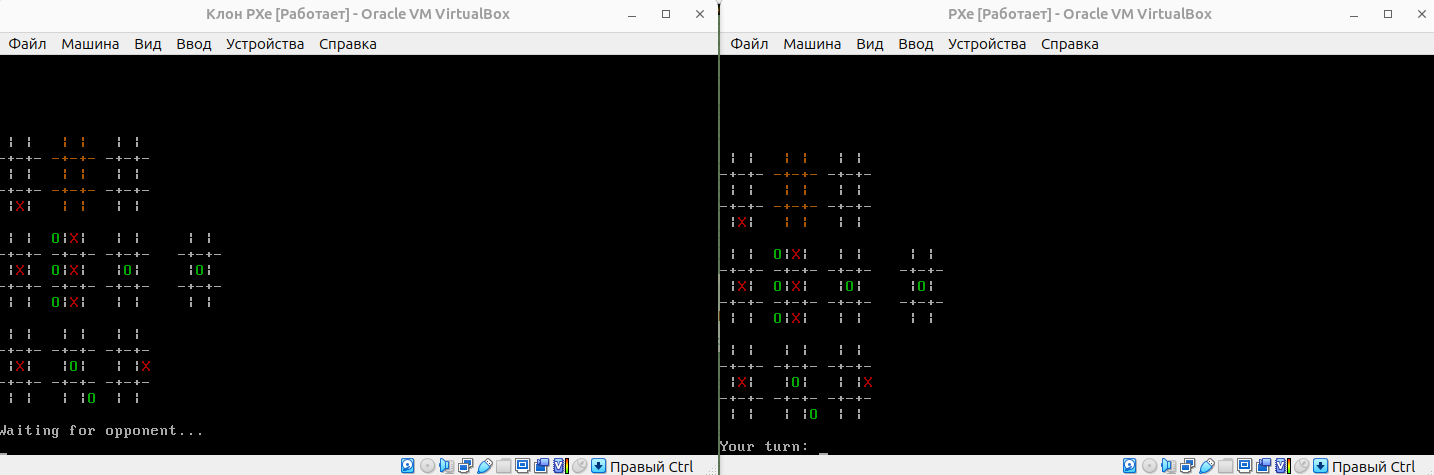 Скриншот проекта.