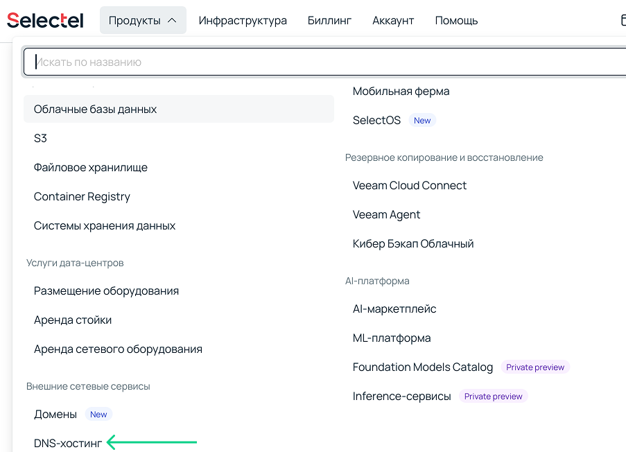 Скриншот панели управления Selectel. Выбор раздела «DNS-хостинг».