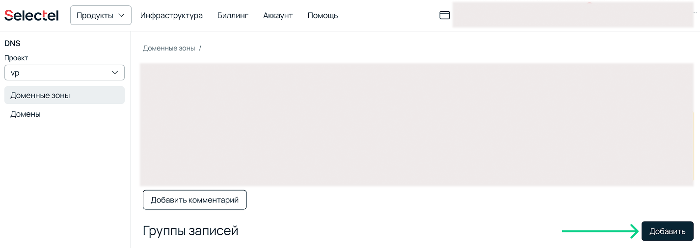 Скриншот панели управления Selectel. Раздел DNS.