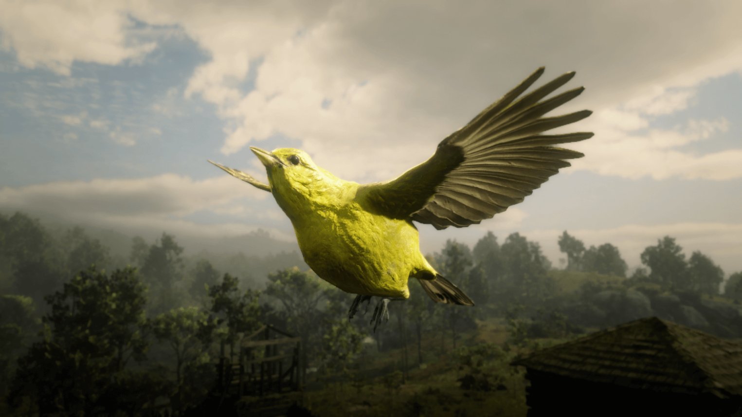 Западный танагер. Источник Скриншот из игры.