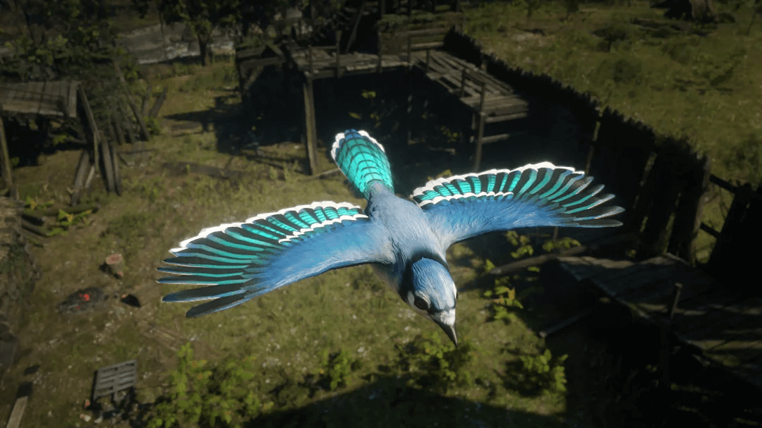 Голубая сойка. Источник Скриншот из игры.