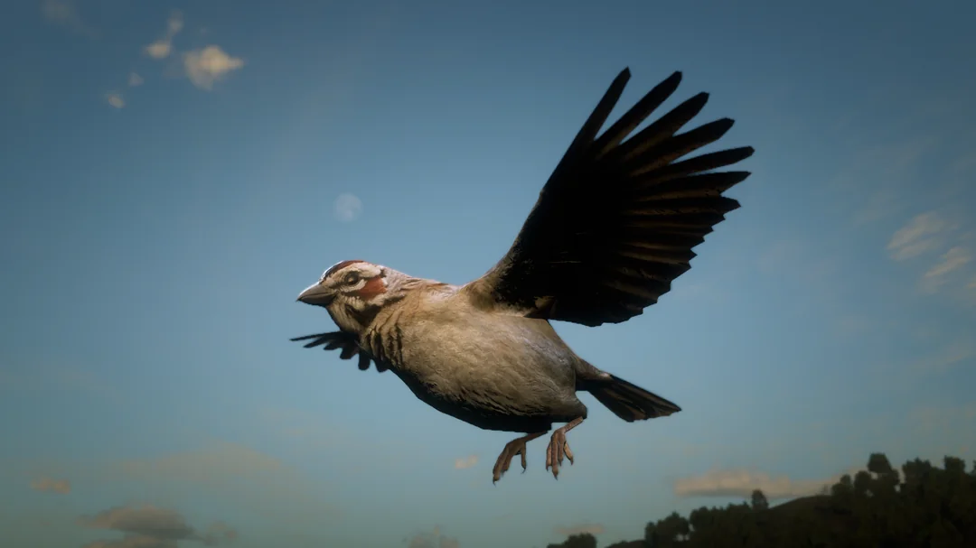 Золотой коронованный воробей. Источник Скриншот из игры.