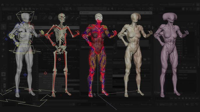 Система Ziva VFX.