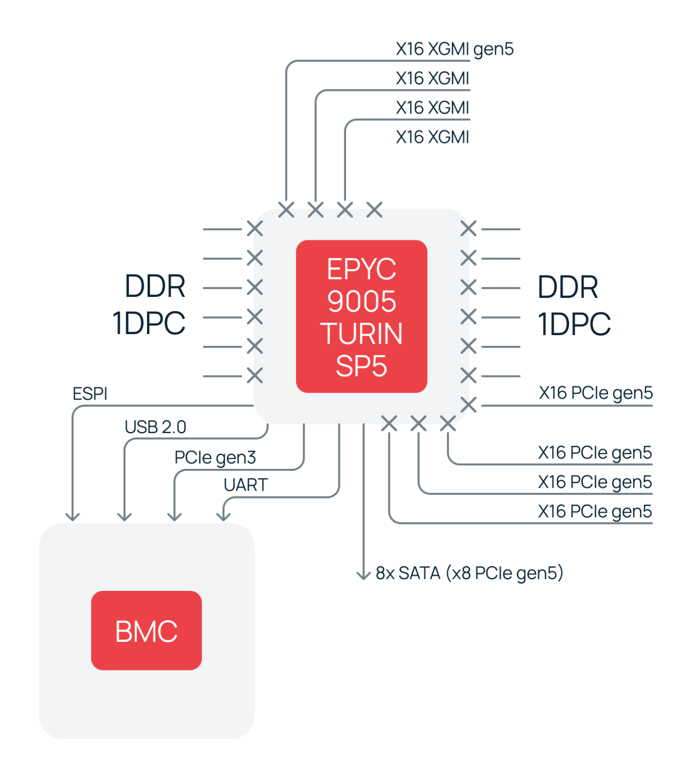 Блок-схема сервера на базе процессора AMD EPYC 9005 (архитектура Turin). Иллюстрация демонстрирует отсутствие внешнего чипсета: линии памяти DDR5 1DPC, накопители SATA, интерфейсы USB и контроллер BMC подключены напрямую к процессору.