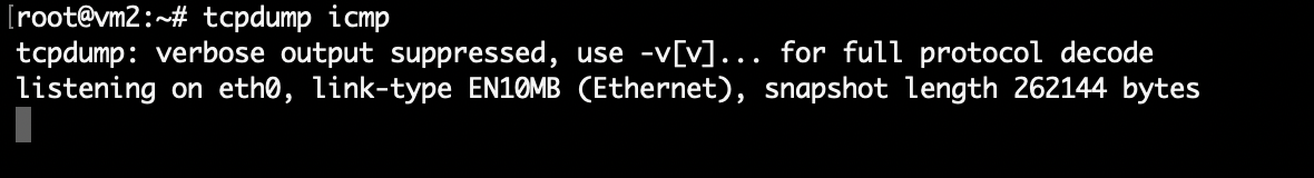 Так выглядит установка утилиты в консоли.