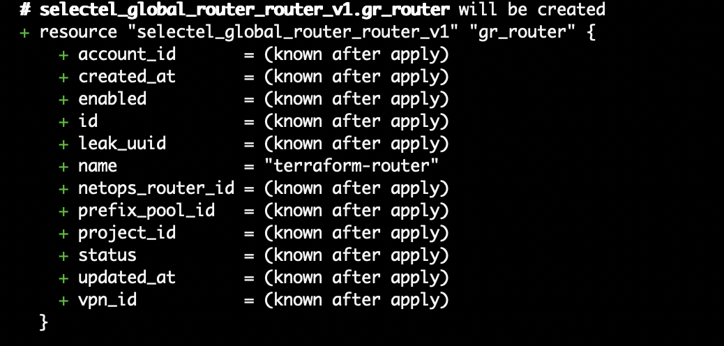 Ожидаемый ответ, если все сделано правильно. Вы увидите надпись "selectel_global_router_router_v1.gr_router will be created".