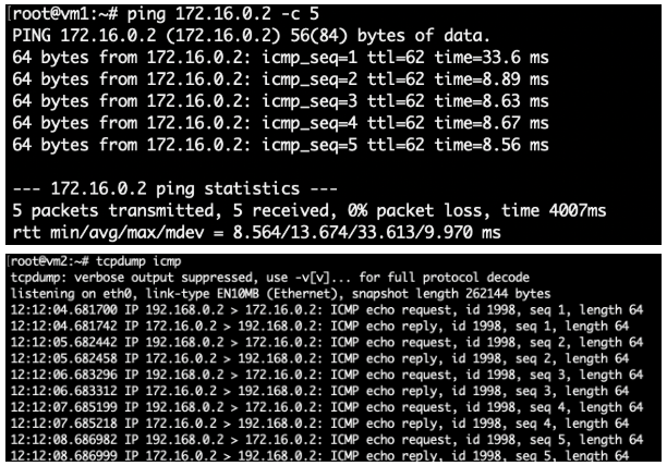 Проверка ping в консоли после настройки.