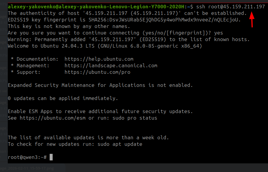 Скрин консоли с настройкой VPS-сервера.