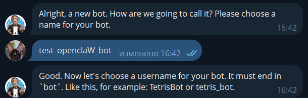 Скриншот переписки с ботом.