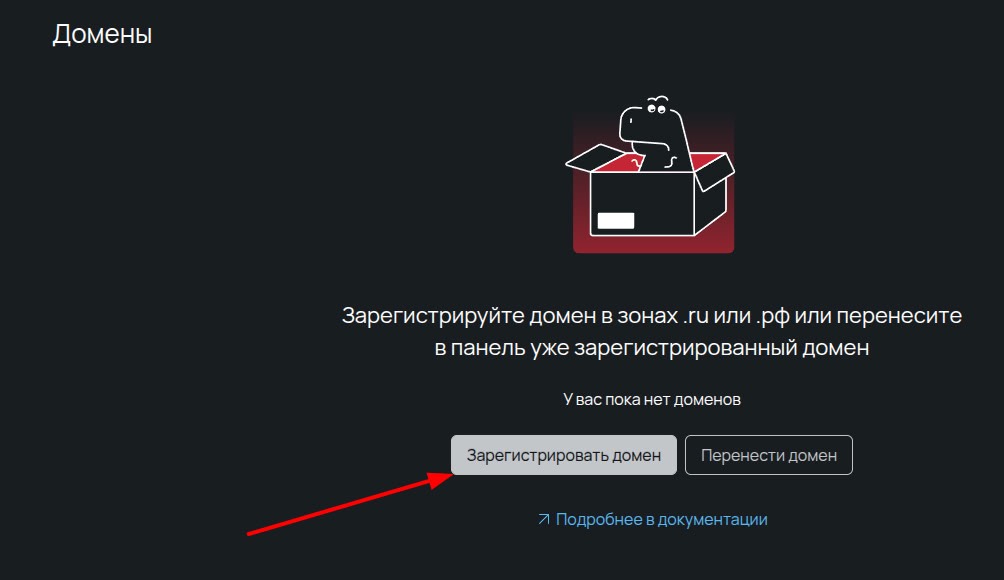 Скрин из ПУ с регистрацией домена.
