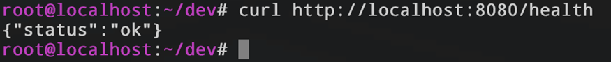 Скриншот терминала: выполнение команды 'curl localhost:8080/health' и получение корректного JSON-ответа {'status': 'ok'}.