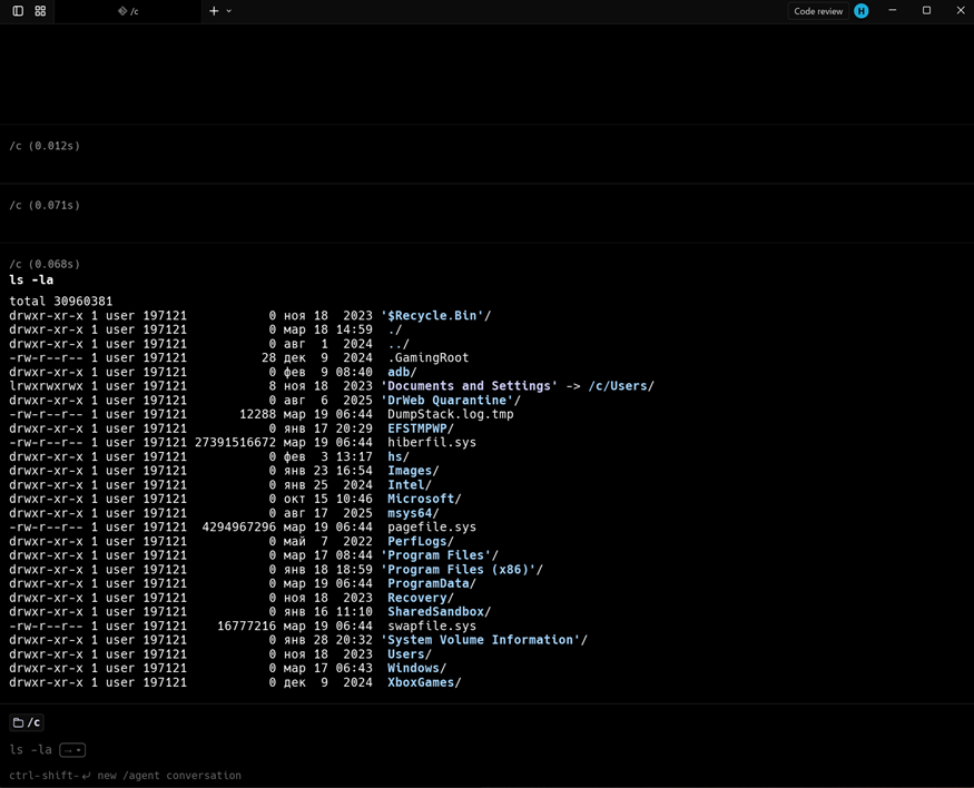 Окно терминала после запуска. Пока все выглядит, как в обычном терминале без ИИ.