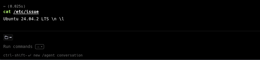 Выбрана Ubuntu 24.04.