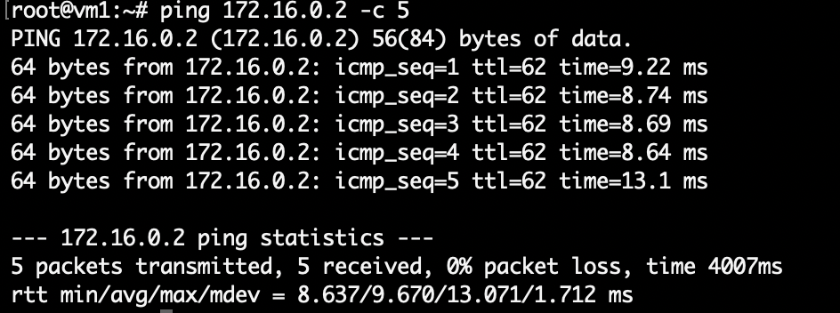 Терминал: результат работы утилиты ping.