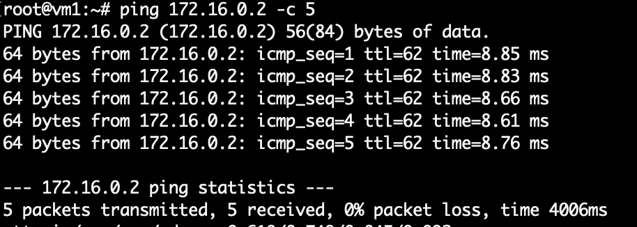 Терминал: результат работы утилиты ping.