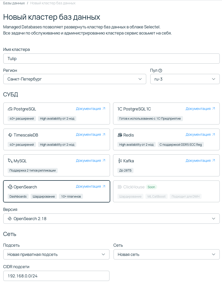 Настройка параметров нового кластера баз данных в облаке Selectel: выбор региона, пула и СУБД OpenSearch.