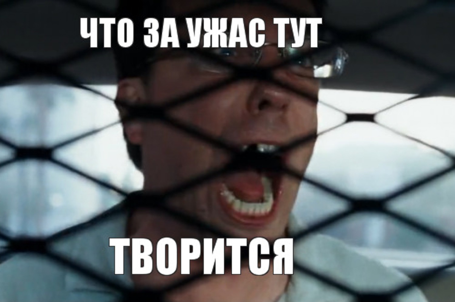 Мем из фильма «Мальчишник в Вегасе»: кричащий мужчина в полицейской машине с текстом «Что за ужас тут творится».