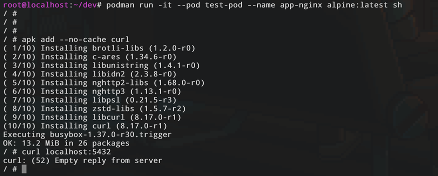 Процесс установки утилиты curl через «apk add» и последующая попытка подключения к localhost:5432, завершившаяся ошибкой «Empty reply from server» внутри пода.