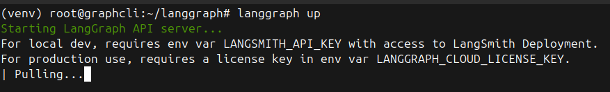 Терминал с процессом запуска API-сервера с помощью команды langgraph up и информационным сообщением о ключах лицензии.