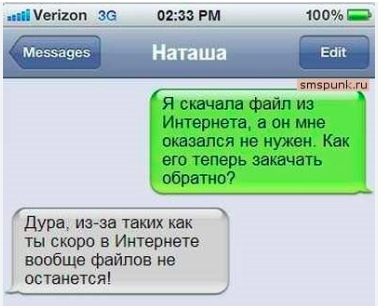 Мем: скриншот переписки о том, что из-за бездумного скачивания файлов из интернета в интернете скоро не останется файлов.