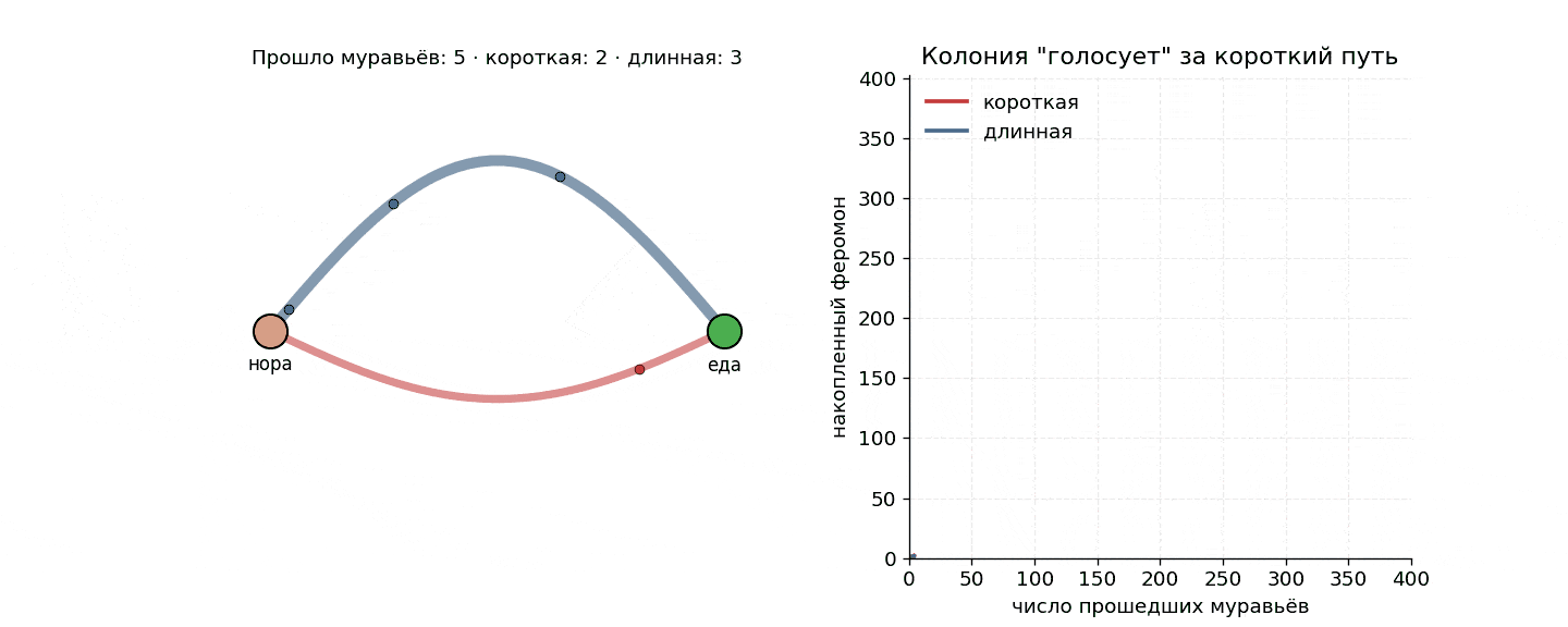 График принятия решений муравьев.