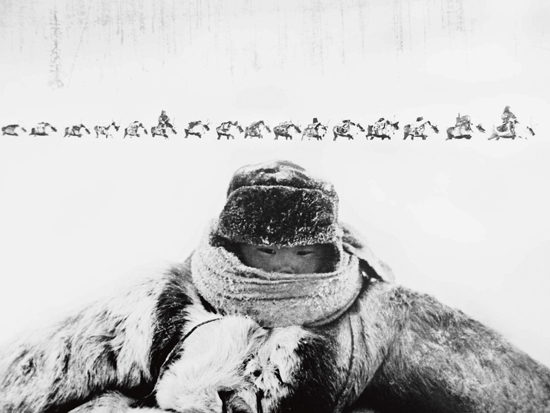Фото эвенкийского мальчика на фоне каравана оленей. Гран-при World Press Photo 1964.