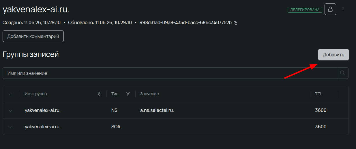 Просмотр DNS-записей (NS, SOA) для домена и кнопка добавления новой записи в панели управления Selectel