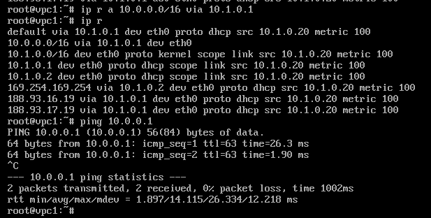 Скриншот консоли с таблицей маршрутизации и успешной проверкой ping до сервера.