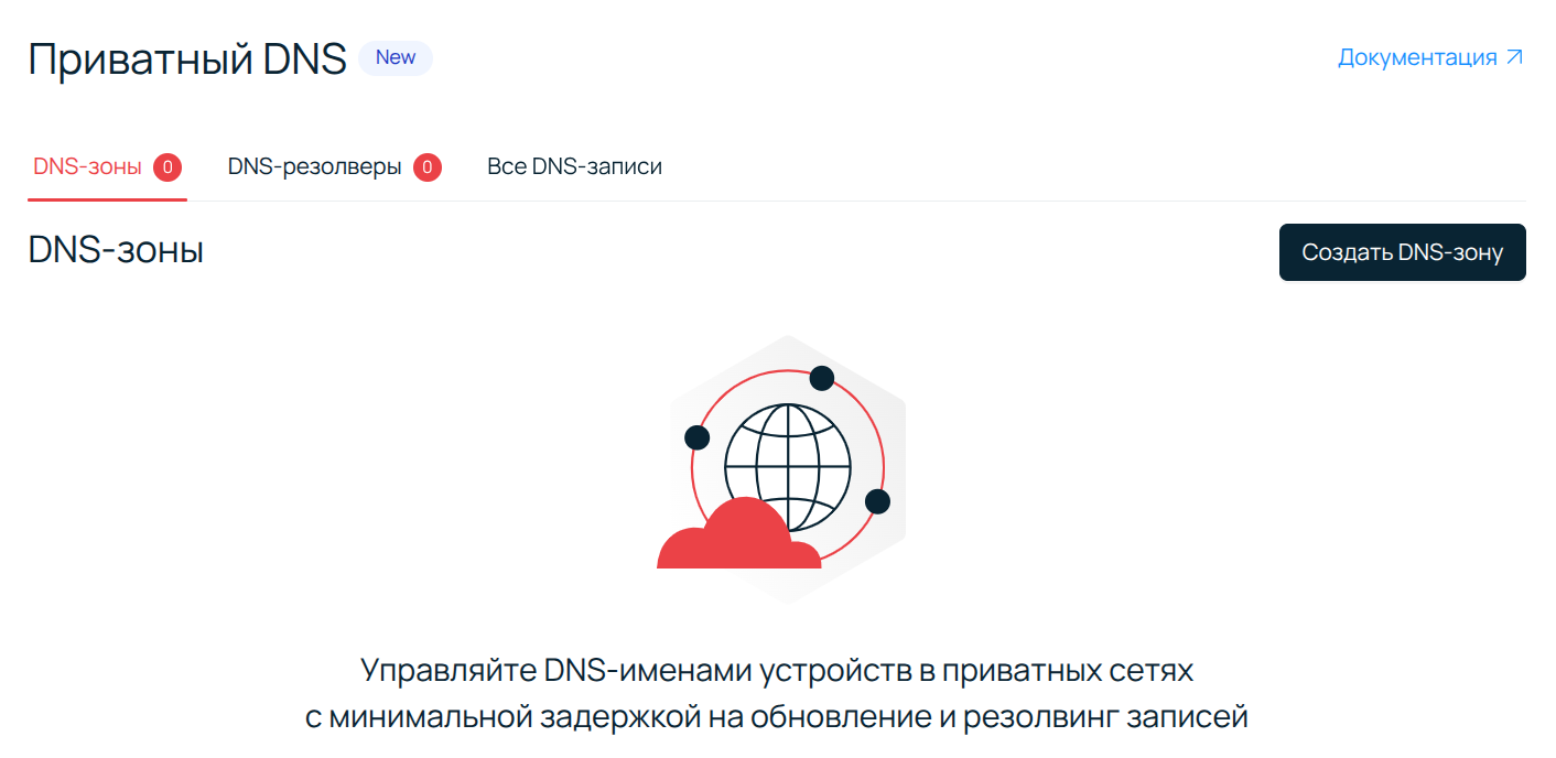 Скриншот панели управления с открытой страницей настройки приватного DNS.
