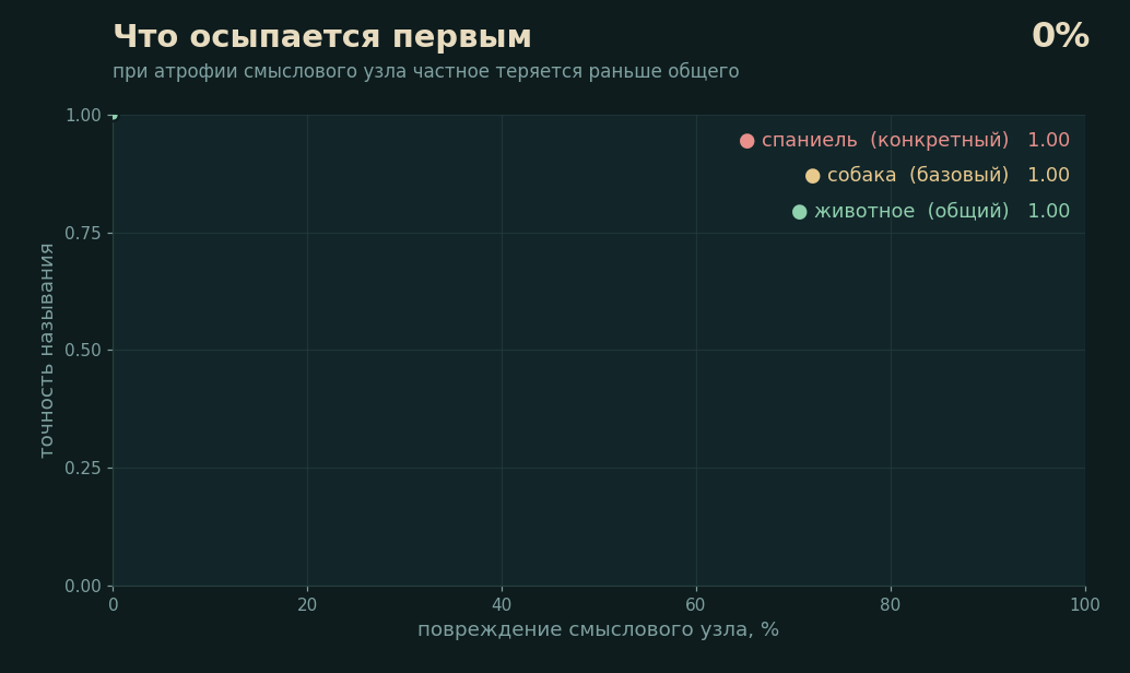 График зависимости точности называния от процента повреждения смыслового узла. Три нисходящие кривые демонстрируют, что при атрофии частное теряется раньше общего: быстрее всего падает точность для конкретного понятия «спаниель» (розовая линия), затем — для базового «собака» (желтая линия), и дольше всего удерживается общее понятие «животное» (зеленая линия).